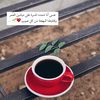 basmahabdullah2