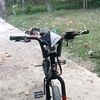 rambutanb