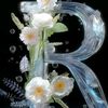 .rosirys7