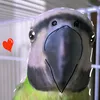 owl.cute2