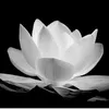 thao_baby19