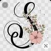 soniarey42