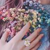 warda2573