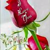 user2955519180053
