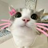 naural.amirah4