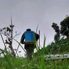 Pak Tani