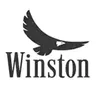 winston_home1