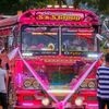 busofkinghamthi7