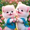 wahidhussain00.00