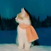 riyella_221211