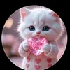 muhmmadabdullah433