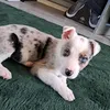 tommy_0144