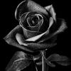 estefanya.12