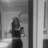 mads_maexo2