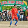 rohmandorman19