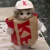ken24o0