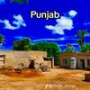 mianmajeed499