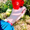 user727522048677