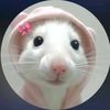 eman.mohamad343