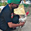 aris_fdk