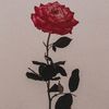 yomnayomna32
