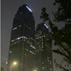 quyn.o51