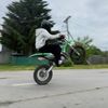zmt_proga