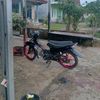 alipppbobooo