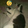 santri_ah3