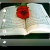 user6118495654244