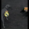 rwamobil