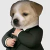 kiunguyn111