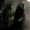 sksbejeh