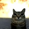 fireonmyoo17