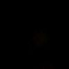 user5454846022778