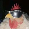 regular_guy_23