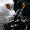amira.mira1023