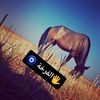 user48199202262517