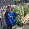 regii