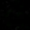 toanlemited