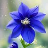 user9852610909873gyv