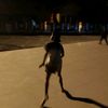 rizky__055