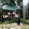 shazia.malik4517