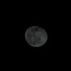 moonflover23