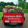 juanitatorrescerv5