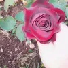 aki6r