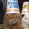 ffwiftyhlsywsjszzlrszdj