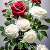 user1519521429185