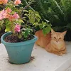 erichristopherbivore_