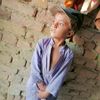 sindhi82779